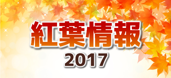 紅葉情報2017