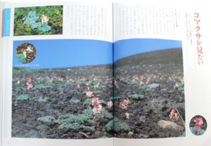 book-tazawako-hananoyama_1