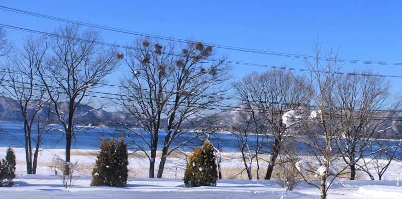 田沢湖