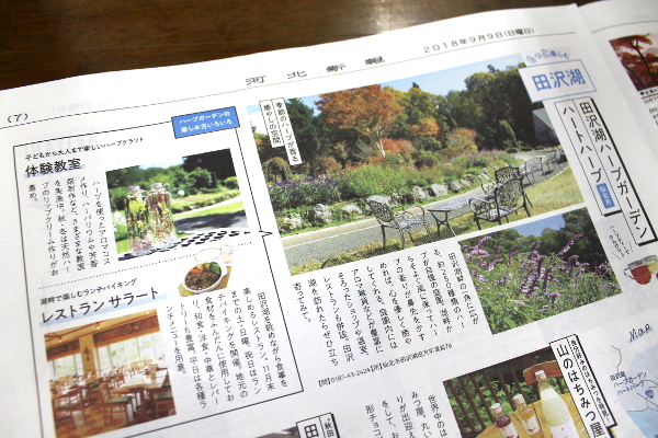 河北新報