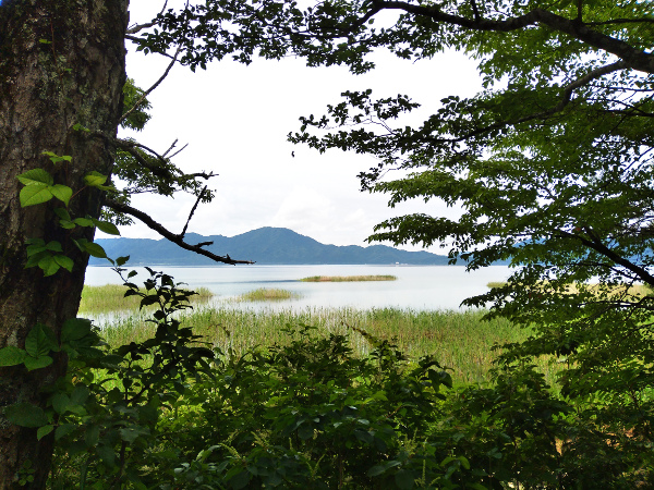 今日の田沢湖