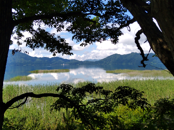 今日の田沢湖