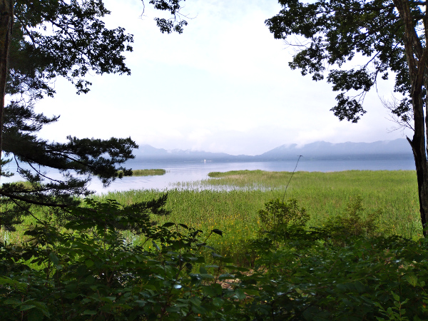 今日の田沢湖