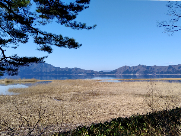 田沢湖