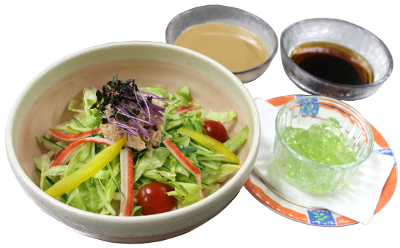 サラダうどん
